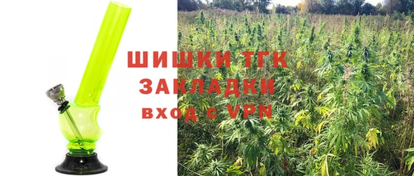 сатива Алексеевка