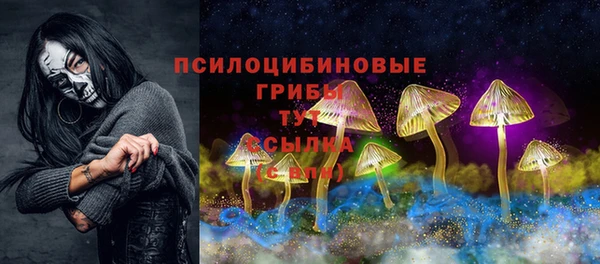spice Абаза