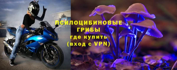 сатива Алексеевка