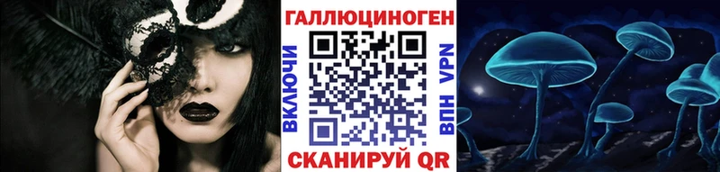 Псилоцибиновые грибы Cubensis  Калачинск 